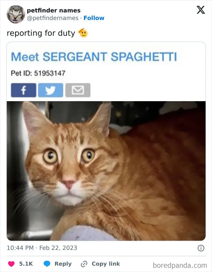 50 Times Pet Names Were So Good They Deserved An Award