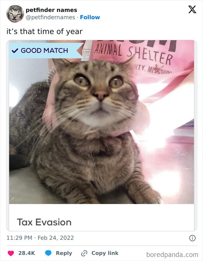 50 Times Pet Names Were So Good They Deserved An Award