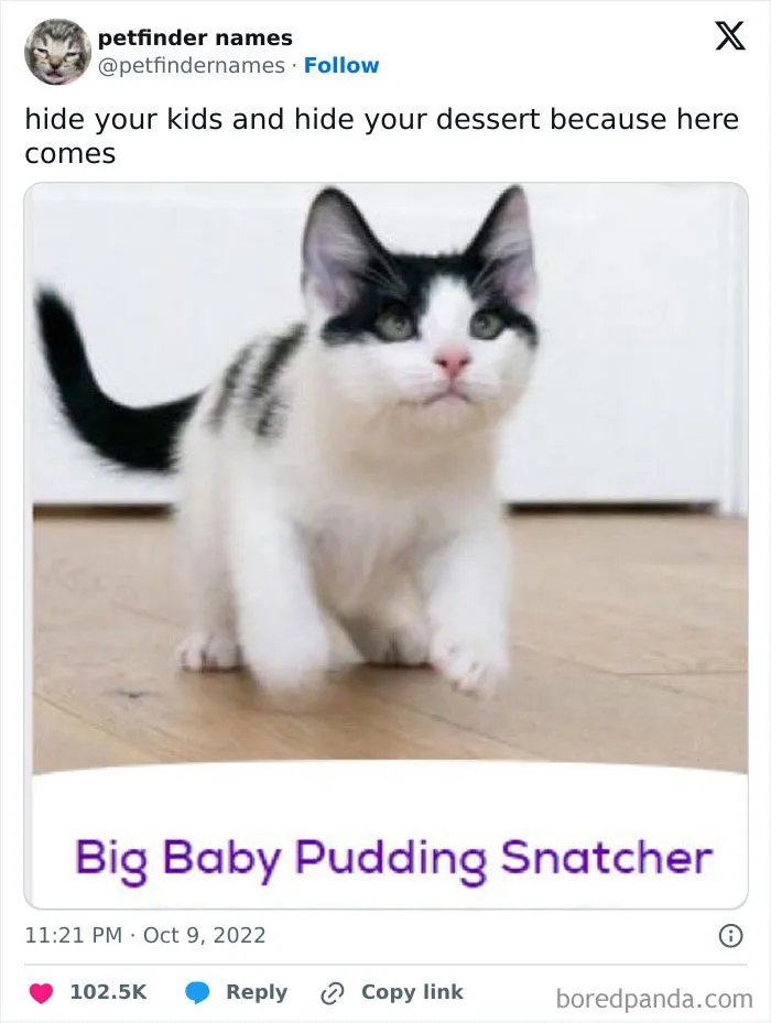 50 Times Pet Names Were So Good They Deserved An Award