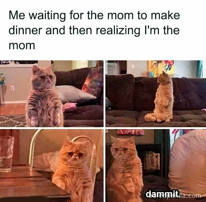 50 Mom Memes That Are So Real It Almost Hurts