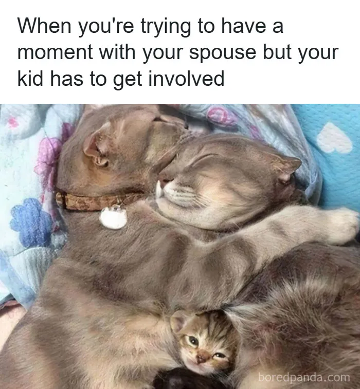 50 Mom Memes That Are So Real It Almost Hurts