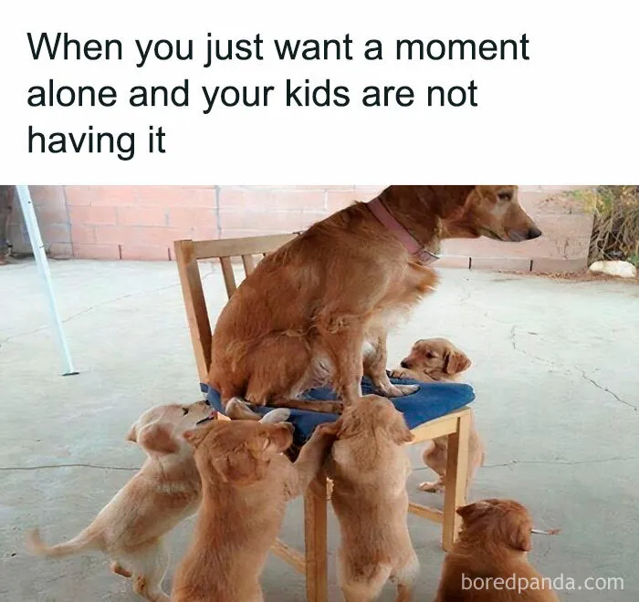 50 Mom Memes That Are So Real It Almost Hurts