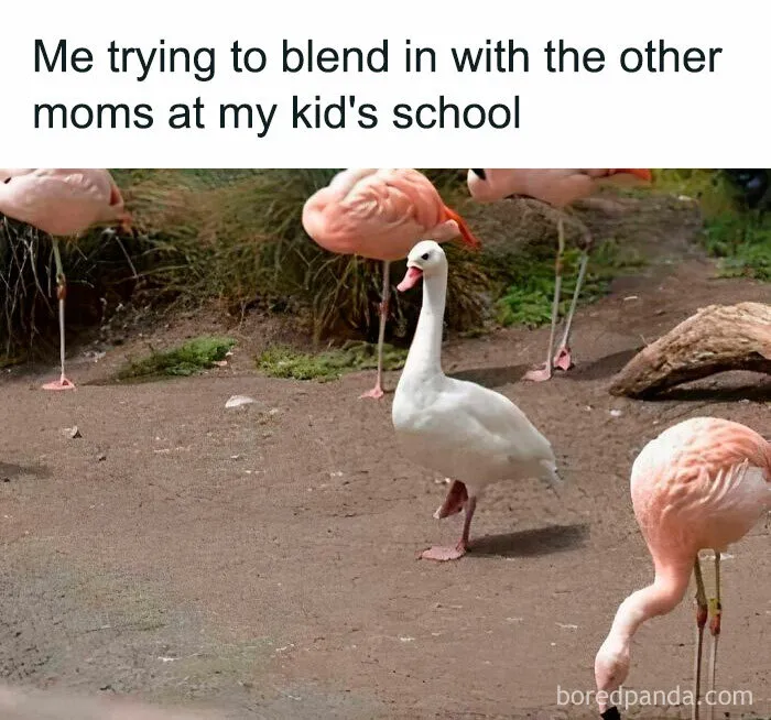 50 Mom Memes That Are So Real It Almost Hurts