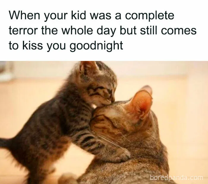 50 Mom Memes That Are So Real It Almost Hurts