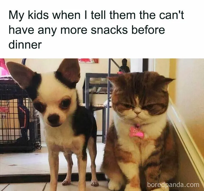 50 Mom Memes That Are So Real It Almost Hurts