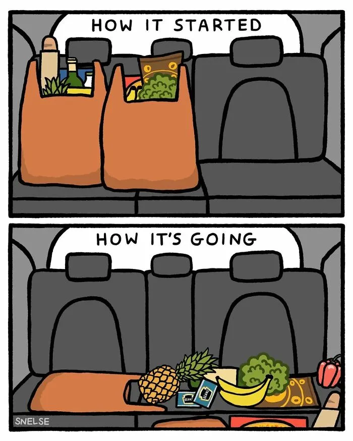 Illustration comic showing grocery bags in a car, humorously depicting how it started versus how it's going.