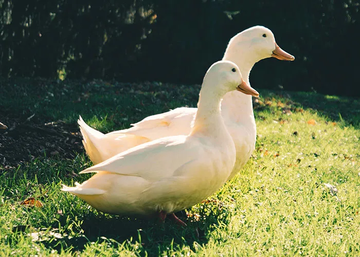 45 Times Dating Ended With A Plot Twist No One Saw Coming