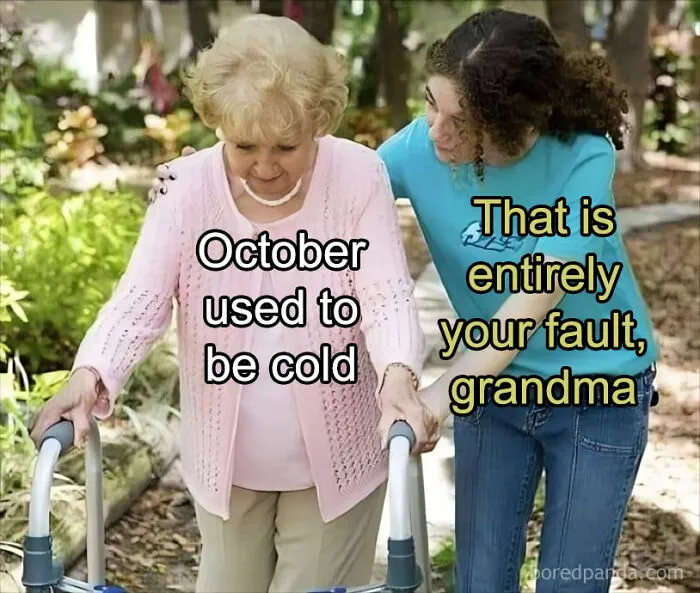 50 Memes So Absurd They’re Borderline Performance Art