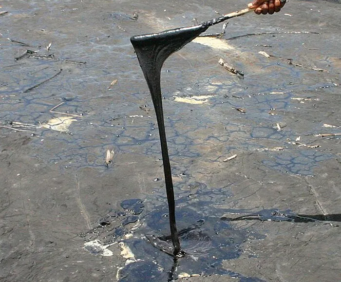 34 Creepy Things Folks Have Found In Forests