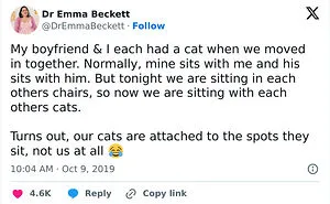 50 Times Cats Were "Weird Little Guys" And Got Featured On This Popular IG Account (New Pics)