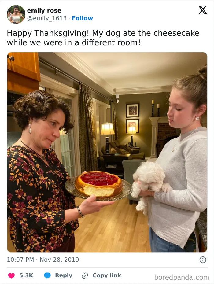 Two women in a kitchen holding a cheesecake and a small white dog, representing sneaky pets who tried to steal food but got busted.