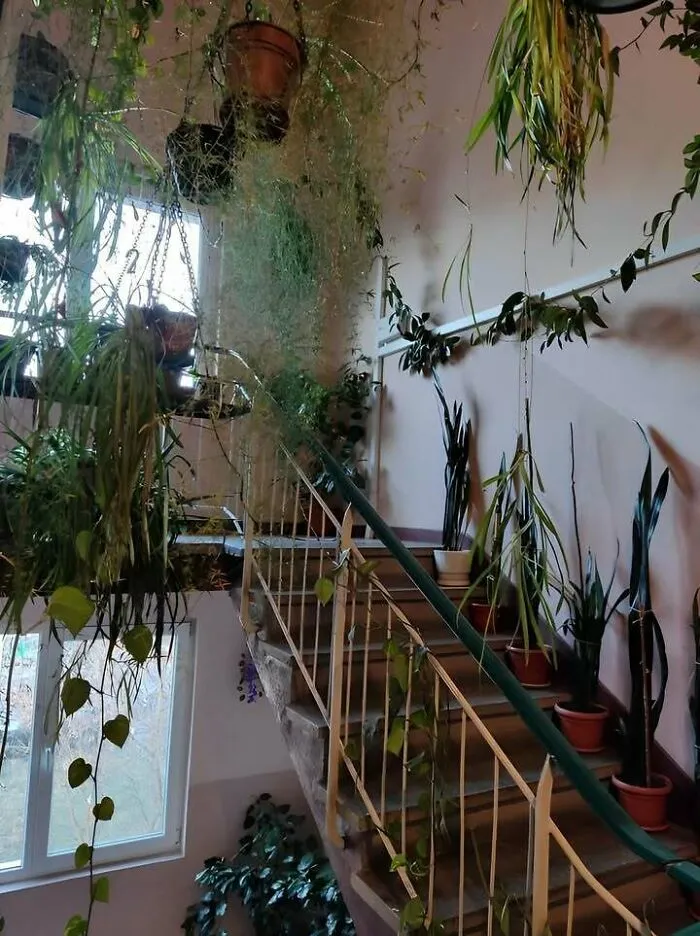 Botanical Garden Inside The Block