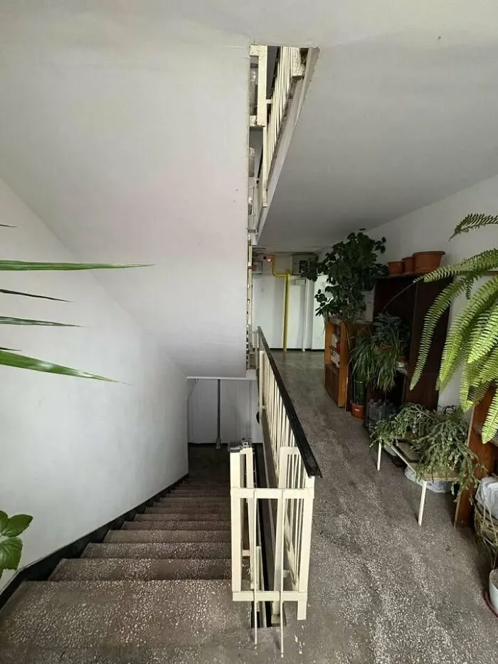 In Eastern Europe, Every Block Staircase Comes With A Free Botanical Garden  😍