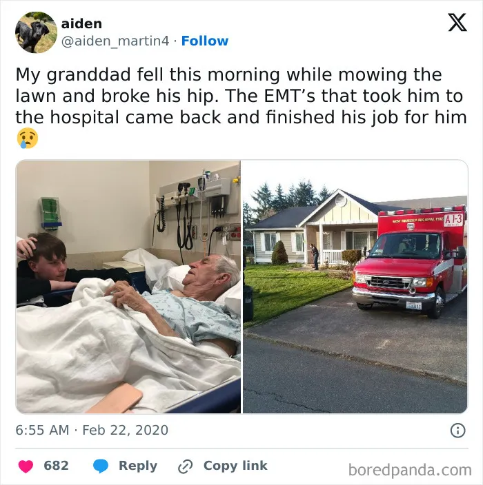 50 Wholesome Pics To Fix Your Sad Feed Today (New Pics)