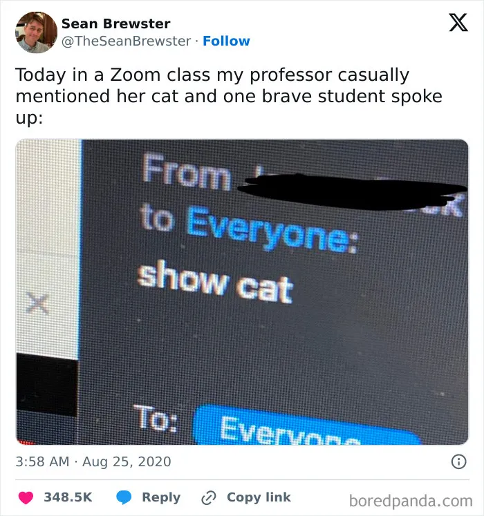 Screenshot of a Zoom chat message saying show cat, highlighting cats being weird little guys in a humorous online class setting.