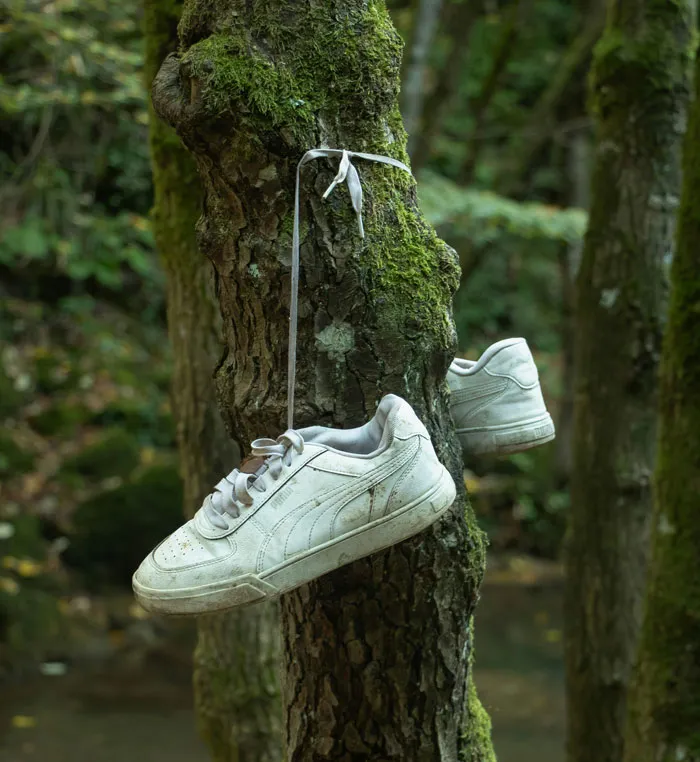 34 Creepy Things Folks Have Found In Forests