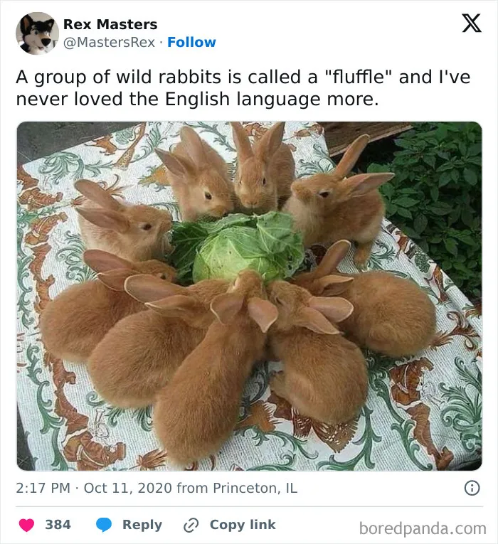 50 Wholesome Pics To Fix Your Sad Feed Today (New Pics)