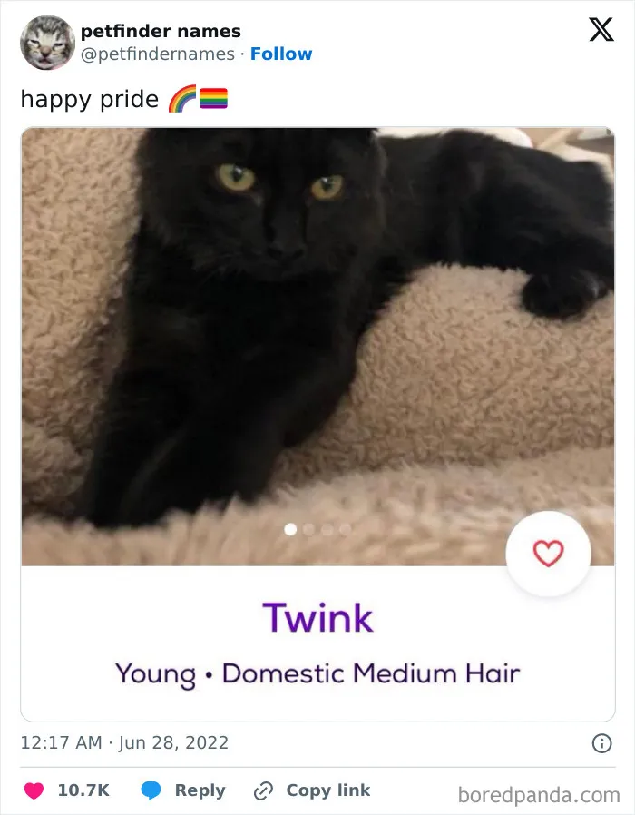 50 Times Pet Names Were So Good They Deserved An Award