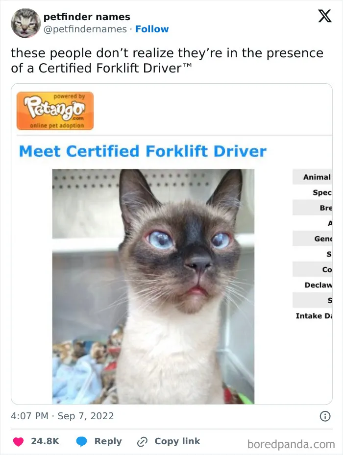 50 Times Pet Names Were So Good They Deserved An Award