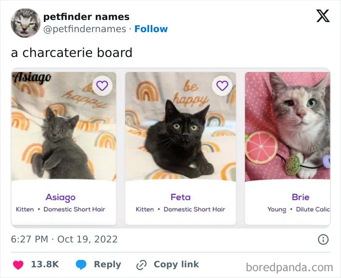 50 Times Pet Names Were So Good They Deserved An Award