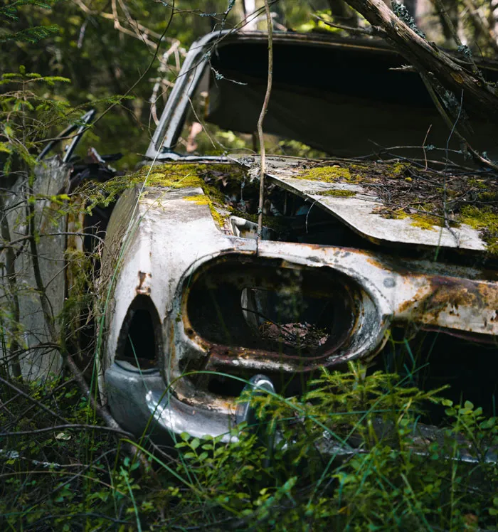 34 Creepy Things Folks Have Found In Forests