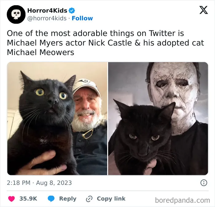 Black cat with wide eyes held by an older man and wearing a mask, showcasing cats being weird little guys.