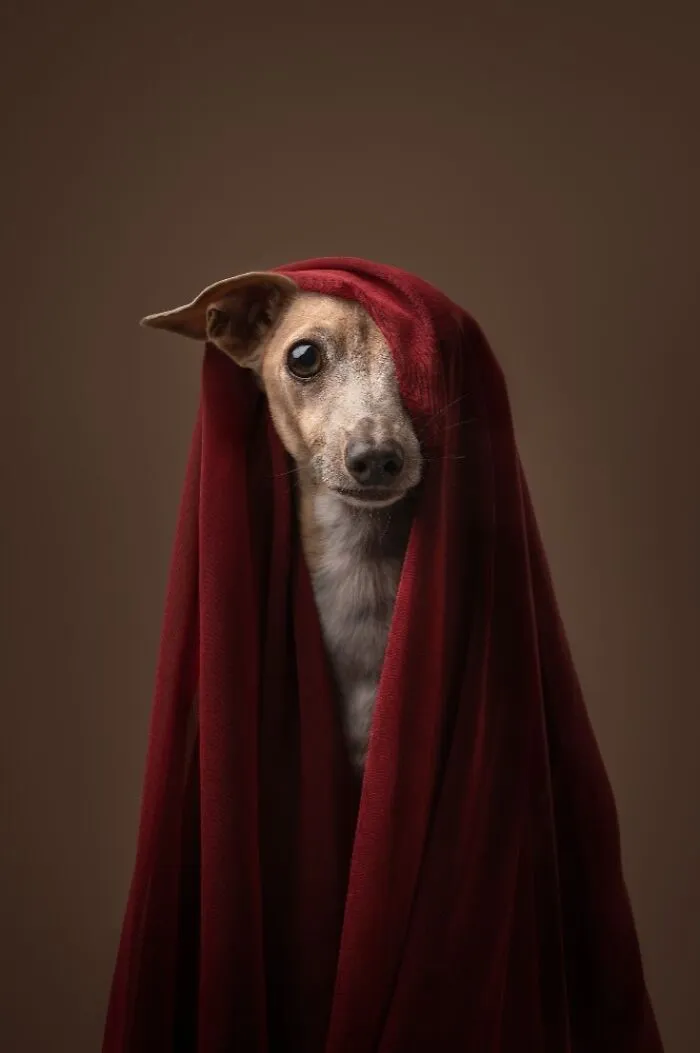 Photo By  Regine Jensen