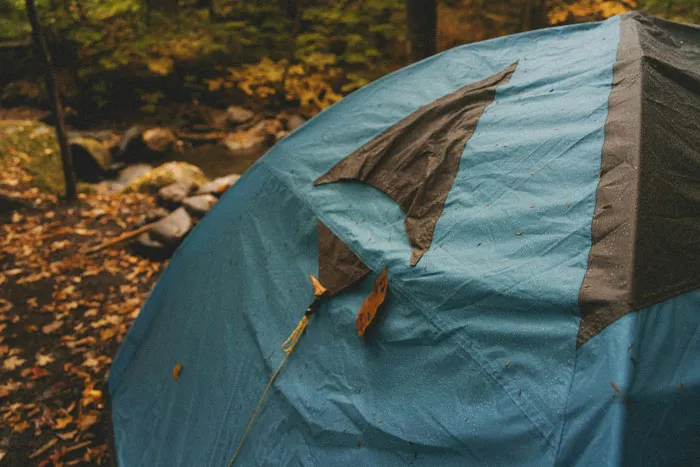 34 Creepy Things Folks Have Found In Forests