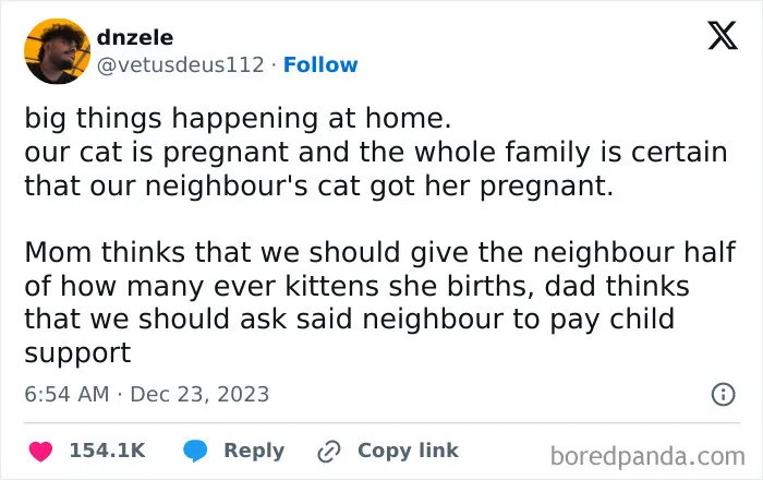Cat-Memes-Catsbeingweirdlittleguys