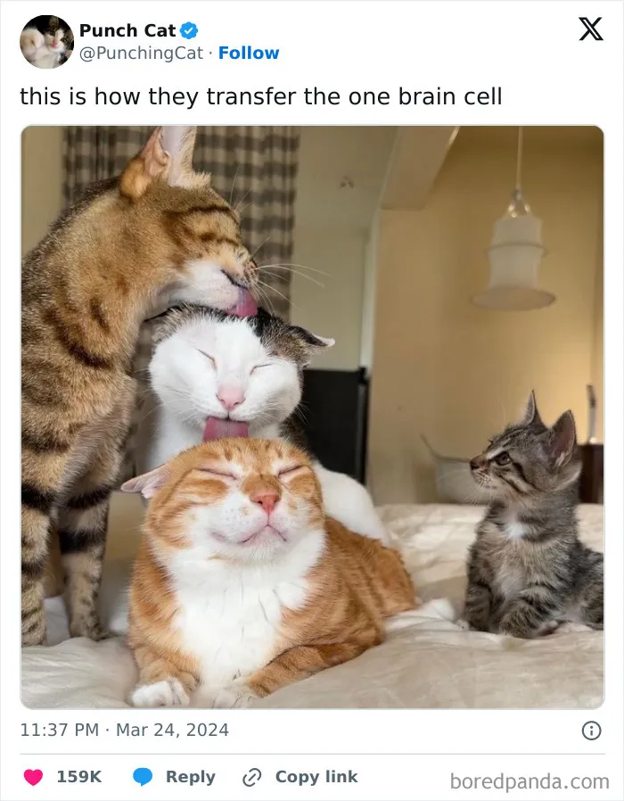 That’s How They Did It All This While