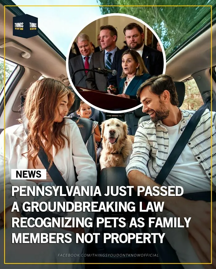 50 Facts And Stories That Show How Many Great, Sad And Weird Things Are Happening In The World