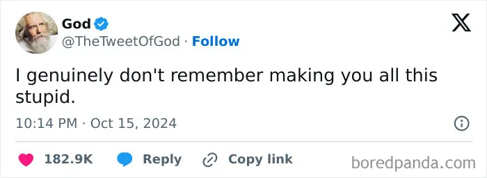 79 Funny Random Memes That Are Somehow Exactly What You Needed Today