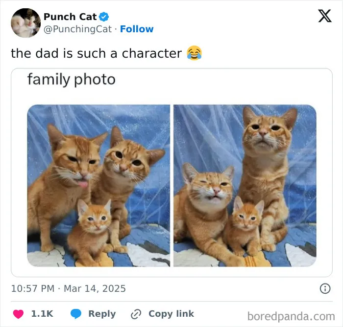 Laugh Away Life's Woes With 110 Memes That You Might Relate To (New Pics)