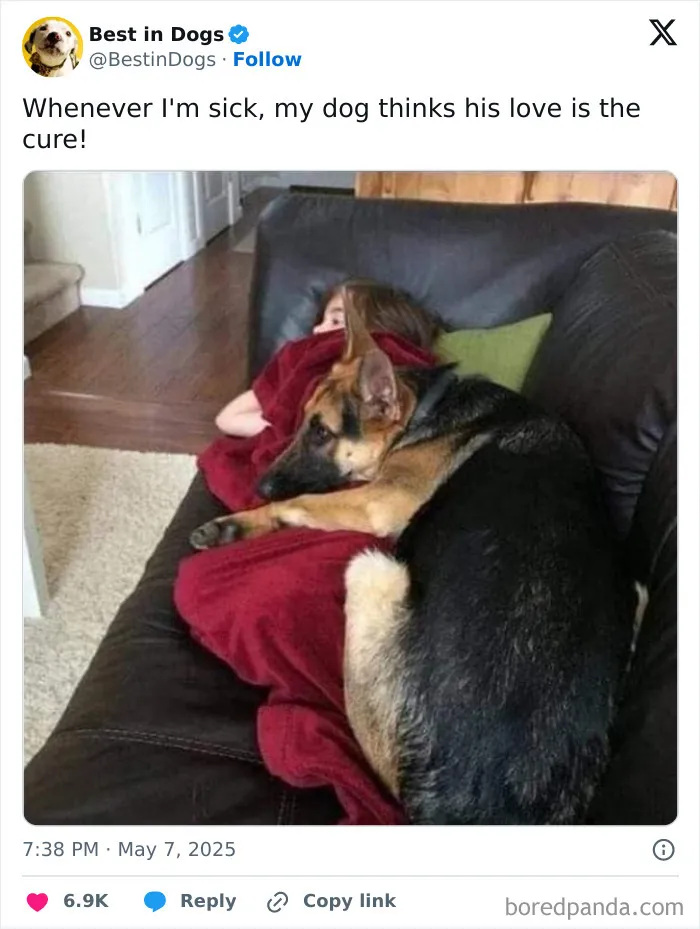 50 Wholesome Pics To Fix Your Sad Feed Today (New Pics)