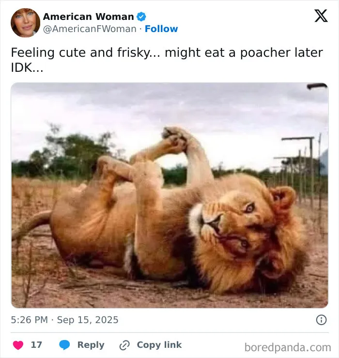 69 Funny Memes For Your Daily Dose Of Cute Animal Content (New Pics)
