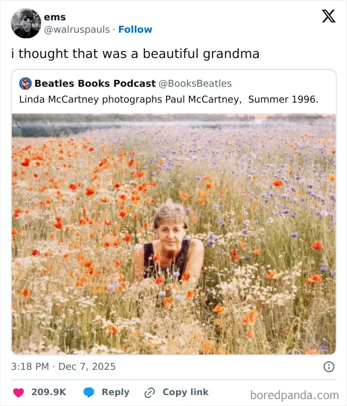  40 Funny Random Memes That Are Perfect To Scroll When You’re In A Slump (New Pics) 