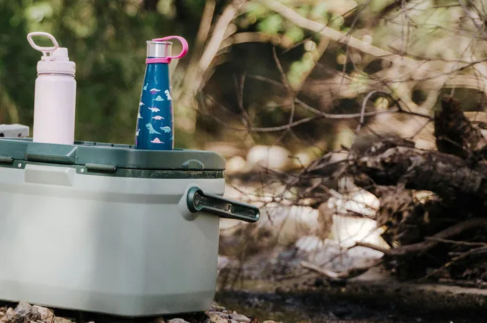 Portable cooler with water bottles set outdoors near woods, capturing the essence of people who couldn't sleep in the woods.
