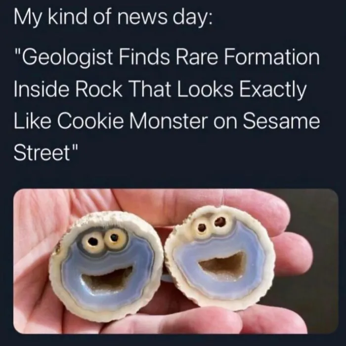 50 Wholesome Pics To Fix Your Sad Feed Today (New Pics)