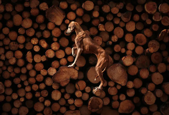 Photo By  Sanna Sander
