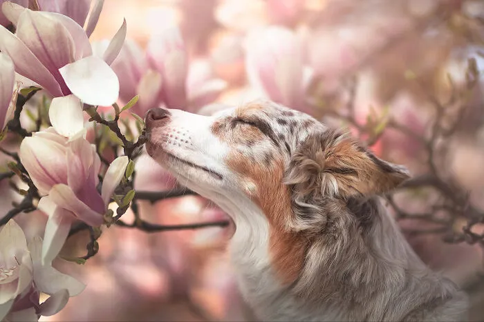 Photo By  Veronika Šandorová