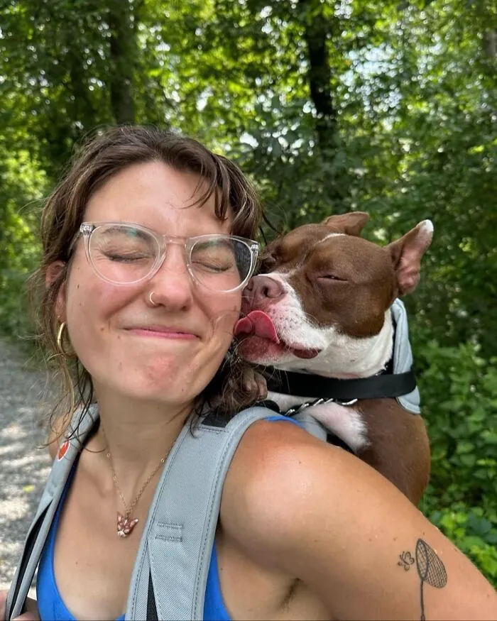 44 Wholesome Photos Of Pups Being Carried Through Cities In Backpacks