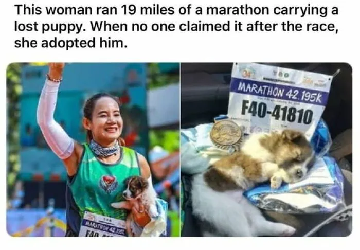 People Are Sharing Their Cute Dog Pics And The Internet Thanks Them For These 78 Snaps