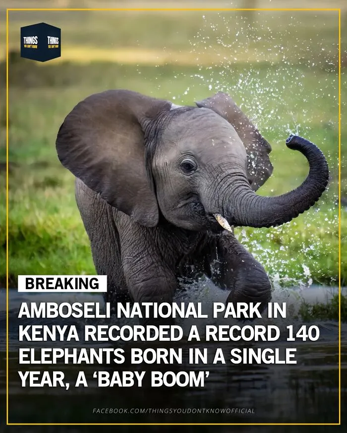 50 Facts And Stories That Show How Many Great, Sad And Weird Things Are Happening In The World