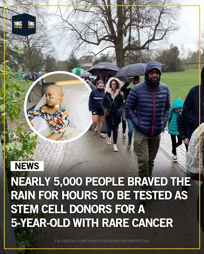 Nearly 5,000 people waited in rain to be tested as stem cell donors, a compelling fact and story for conversation starters.
