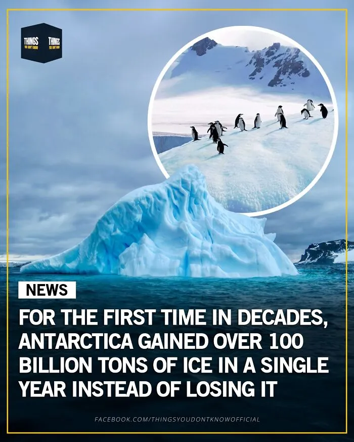 50 Facts And Stories That Show How Many Great, Sad And Weird Things Are Happening In The World