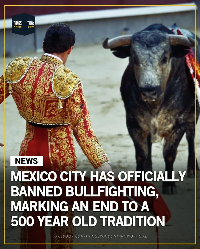 50 Facts And Stories That Show How Many Great, Sad And Weird Things Are Happening In The World