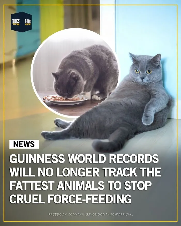 50 Facts And Stories That Show How Many Great, Sad And Weird Things Are Happening In The World
