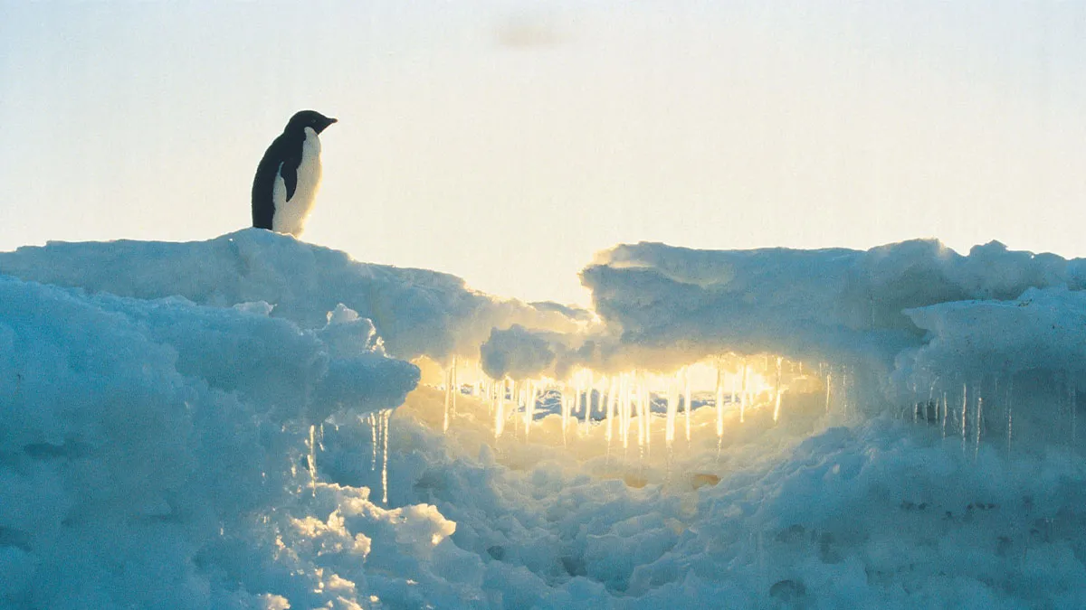 50 Facts And Stories That Show How Many Great, Sad And Weird Things Are Happening In The World