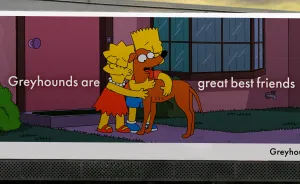 The Simpsons Back New Zealand's Biggest Dog Rehoming
