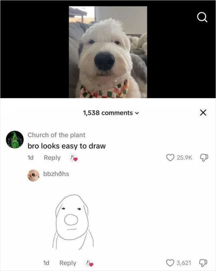 50 Hilarious Memes That Instantly Lift The Mood